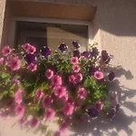 Bella * Sinj