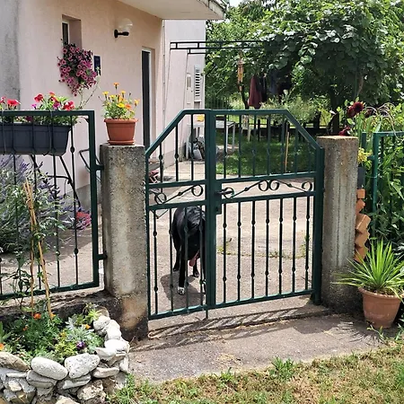 Bella Sinj