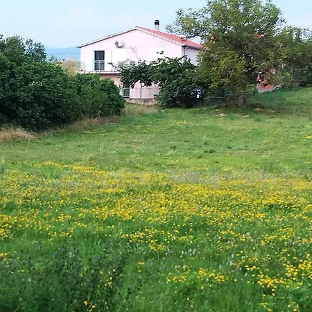 Bella 公寓